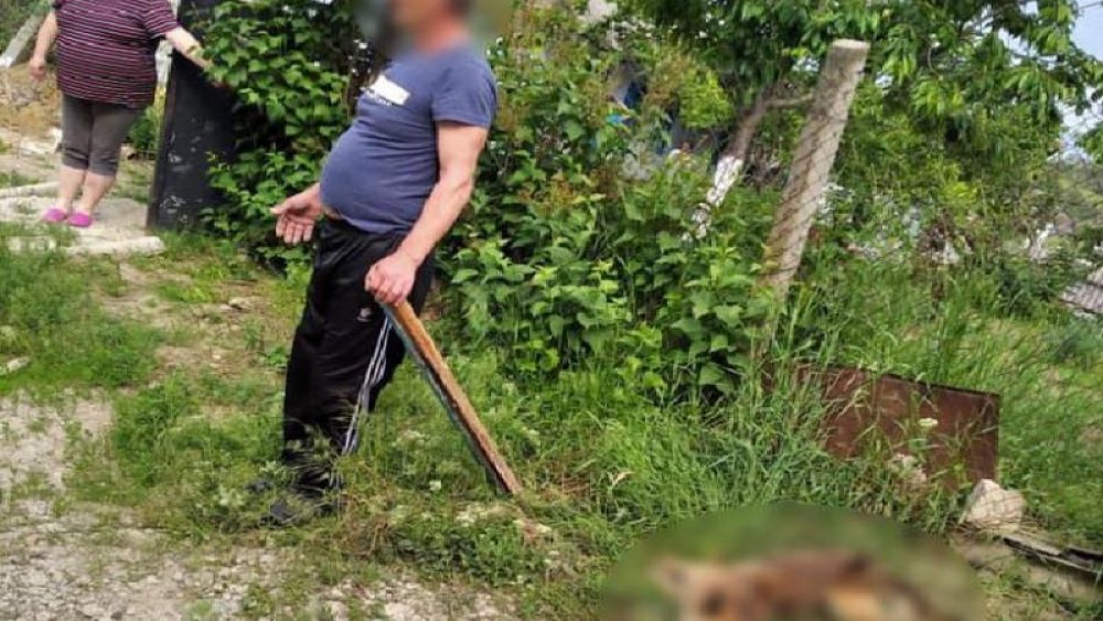 REVOLTĂTOR // Cruzime fără margini la Hîncești. A legat câinele de un grad și l-a bătut cu bestialitate, cu o scândură
